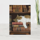 Suche nach katze und bücher karten Kätzchen