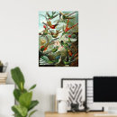 Suche nach trochilidae poster Biologie