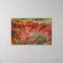 Suche nach beautiful leinwandbilder Blume
