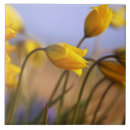 Suche nach anfang fliesen Anfänge