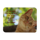 Suche nach katzen magnete Orange