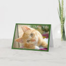 Suche nach miezekatze karten Katzen