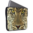 Suche nach leopardstelle Wilde katze