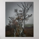 Suche nach grüne landschaft poster Natur