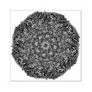 Suche nach yoga stempel Meditation