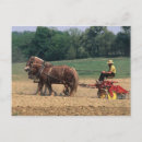 Suche nach landwirtschaft postkarten Pferd