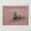 Suche nach galapagos inseln postkarten Ecuador