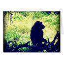 Suche nach pavian postkarten Afrika