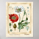 Suche nach vintage blumenillustration poster Für sie