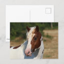 Suche nach haflinger postkarten Bob sprache