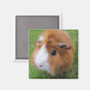 Suche nach rotes haar magnete Weiß