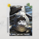 Suche nach tourist postkarten Foto