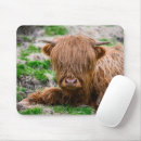 Suche nach niedliches kalb mousepads Rinder