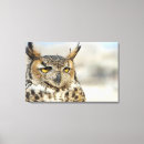 Suche nach eulen leinwandbilder Horizontal