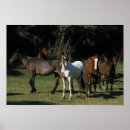 Suche nach mustang poster Pferd