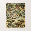 Suche nach reptil puzzle Schildkröten