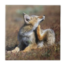 Suche nach fox fliesen Babyfuchs