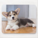 Suche nach walisercorgi mousepads Haustier