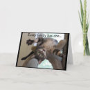 Suche nach verrückte katze karten Katzen