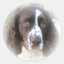 Suche nach reinrassig aufkleber Bezaubernd