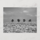 Suche nach baum postkarten Landschaft