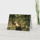 Suche nach sunbeam karten Baum