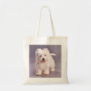 Suche nach westie taschen Hund