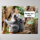 Suche nach niedliche pandas poster Lustig