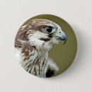 Suche nach raubvogel accessoires Ausländisch
