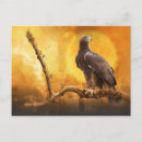 Suche nach goldener adler postkarten Raubvogel