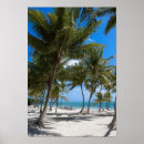 Suche nach key west poster Ozean