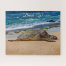 Suche nach schnorcheln puzzle Oahu