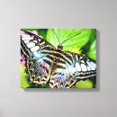 Suche nach schmetterling leinwandbilder Pink butterfly