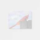 Suche nach rote vögel post it Natur