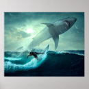 Suche nach haien poster Surfen