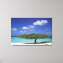 Suche nach aruba leinwandbilder Küste