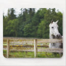 Suche nach pferd mousepads Cowboy