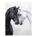 Suche nach stallion kunst Pferd