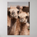 Suche nach al poster Stadt
