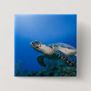 Suche nach unterwasser buttons Schwimmbad