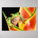 Suche nach amazonas poster Blume