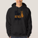 Suche nach guanaco Lama