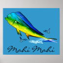 Suche nach mahi poster Dorado