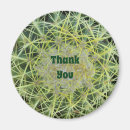 Suche nach die dorne magnete Dornen