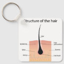 Suche nach anatomie schlüsselanhänger Operation