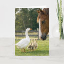 Suche nach lustiges pferd karten Süß