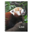 Suche nach waschbär kleine notizbücher Tier