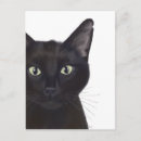 Suche nach katze postkarten schwarze katzen