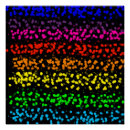 Suche nach regenbogenfarben poster Streifen