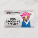 Suche nach dog grooming visitenkarten Hundeschwalker